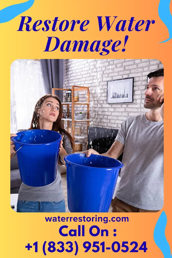 water restoration Premier Water Damage Crew St. Clair