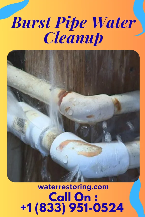 Burst Pipe Water Cleanup in St. Clair, MN