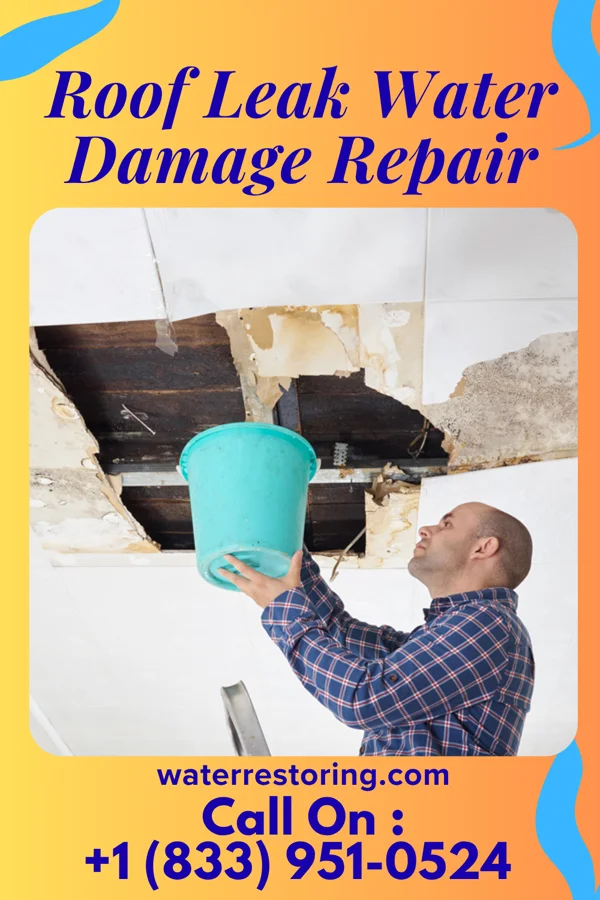 Roof Leak Water Damage Repair in St. Clair, MN