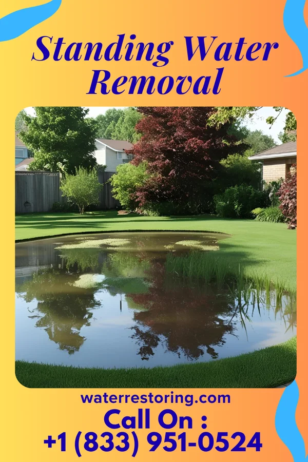 Standing Water Removal in St. Clair, MN